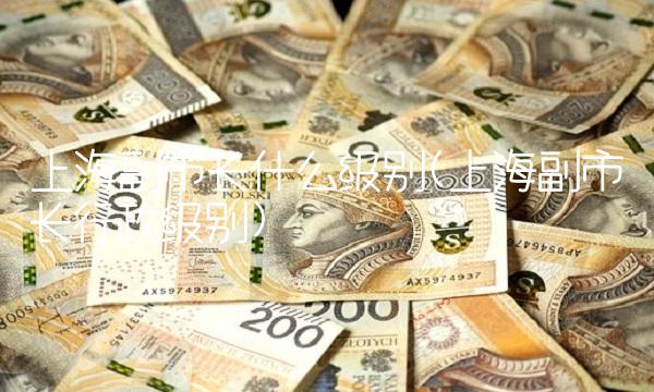 上海副市长什么级别(上海副市长行政级别)