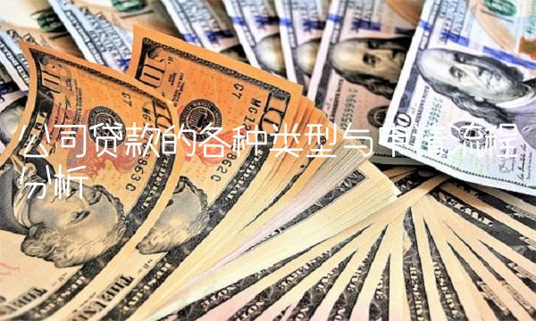 公司贷款的各种类型与申请流程分析