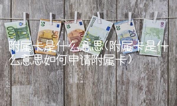 附属卡是什么意思(附属卡是什么意思如何申请附属卡)