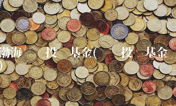 渤海产业投资基金(产业投资基金)