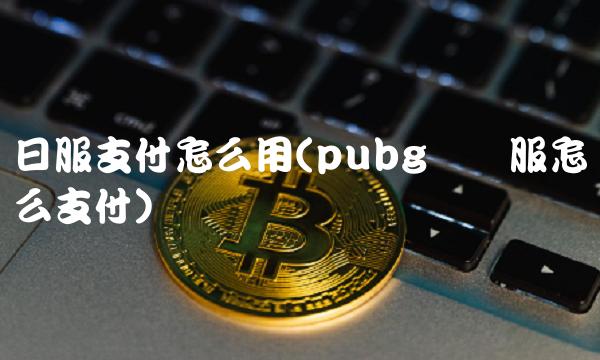 日服支付怎么用(pubg国际服怎么支付)