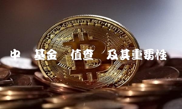 中邮基金净值查询及其重要性