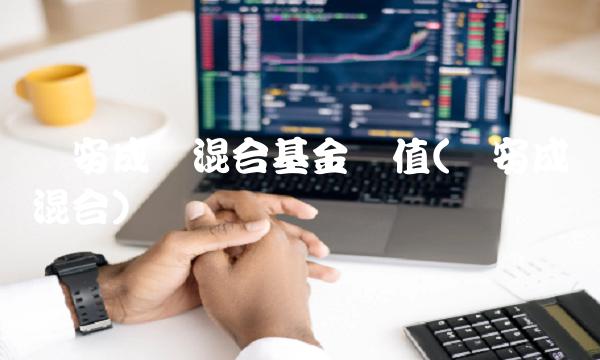 诺安成长混合基金净值(诺安成长混合)(1)