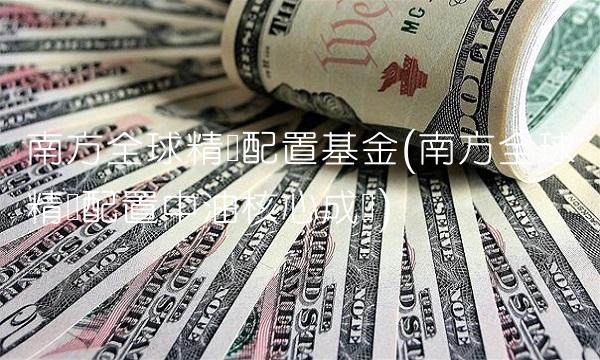 南方全球精选配置基金(南方全球精选配置中油核心成长)
