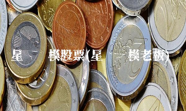 星辉车模股票(星辉车模老板)