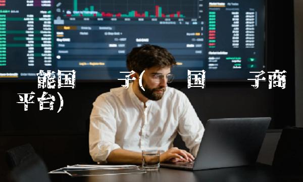 华能国际电子(华电国际电子商务平台)