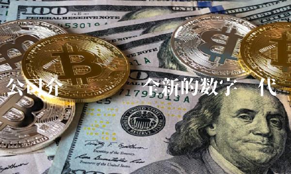 公司介绍——开启全新的数字时代