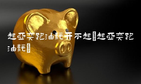 起亚奕跑油耗开不起(起亚奕跑油耗)