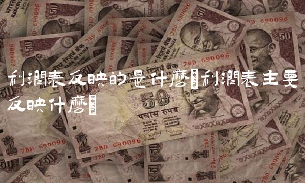 利润表反映的是什么(利润表主要反映什么)
