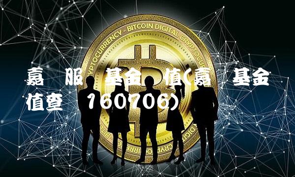 嘉实服务基金净值(嘉实基金净值查询160706)