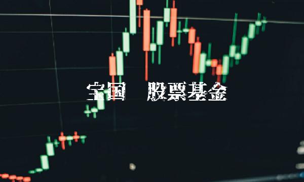 华宝国际股票基金