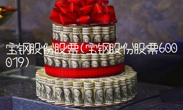 宝钢股份股票(宝钢股份股票600019)