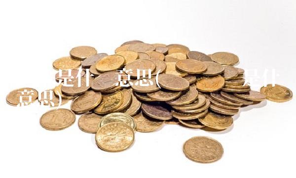 净额是什么意思(赊销净额是什么意思)
