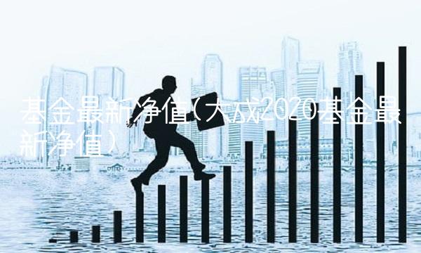 基金最新净值(大成2020基金最新净值)