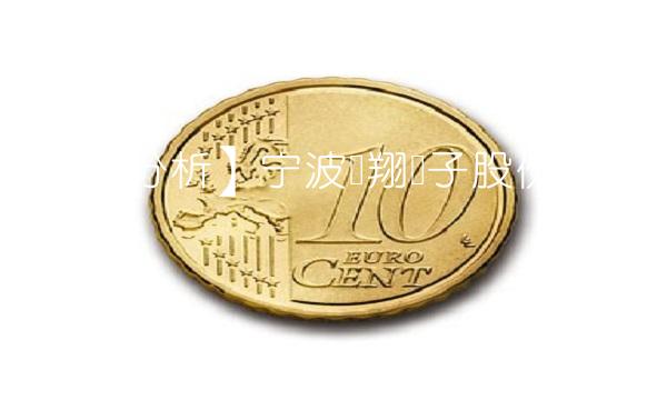 【行业分析】宁波华翔电子股份有限公司