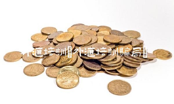 外汇培训(外汇培训骗局)