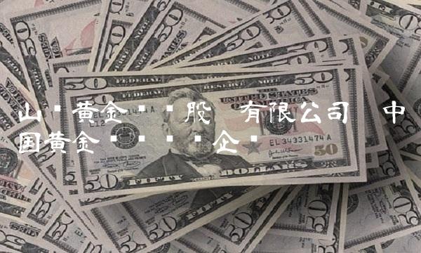 山东黄金矿业股份有限公司——中国黄金矿业龙头企业