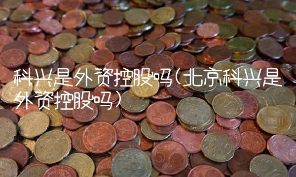 科兴是外资控股吗(北京科兴是外资控股吗)