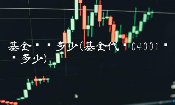 基金净值多少(基金代码04001净值多少)