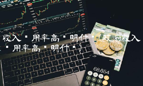 收入费用率高说明什么(政府收入费用率高说明什么)