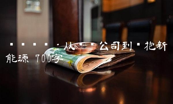 赣锋锂业：从矿业公司到拥抱新能源 700字