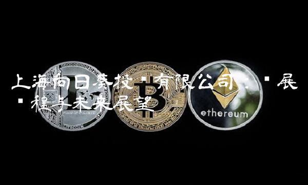 上海向日葵投资有限公司：发展历程与未来展望