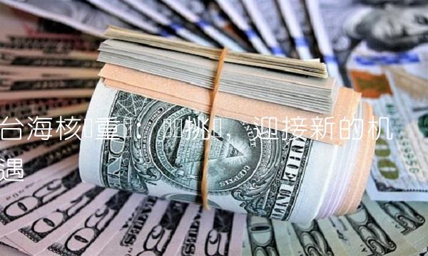 台海核电重组：应对挑战，迎接新的机遇