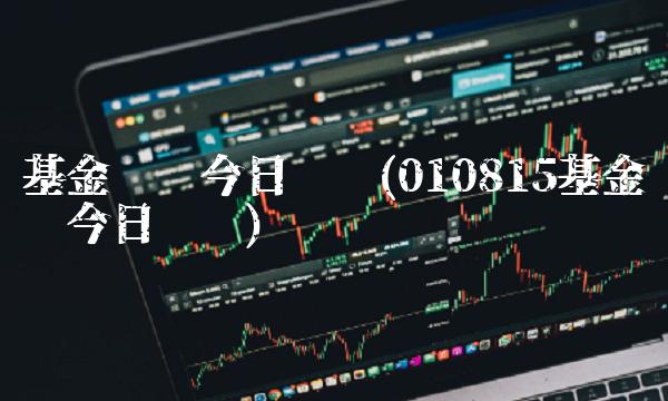 基金净值今日查询(010815基金净值今日查询)