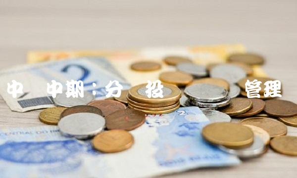 中国中期：分类投资与资产管理