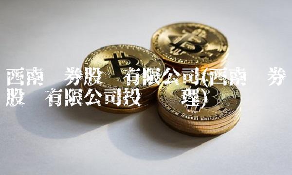西南证券股份有限公司(西南证券股份有限公司投资经理)