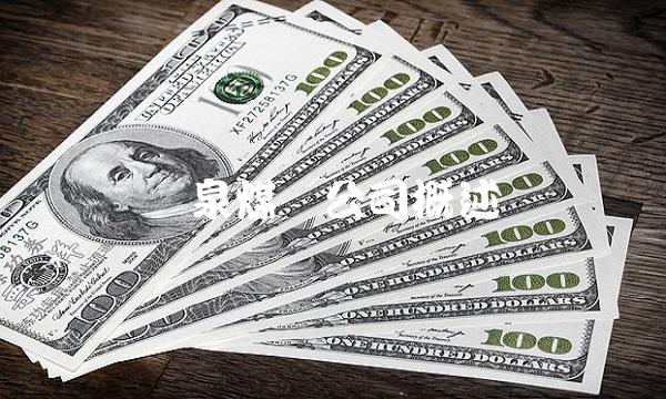阳泉煤业公司概述