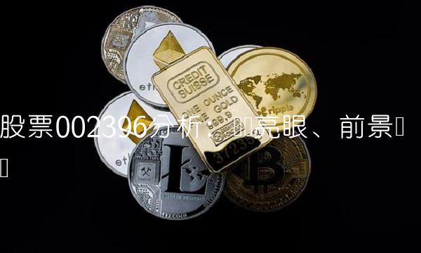 股票002396分析：业绩亮眼、前景广阔