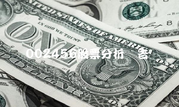 002456股票分析报告