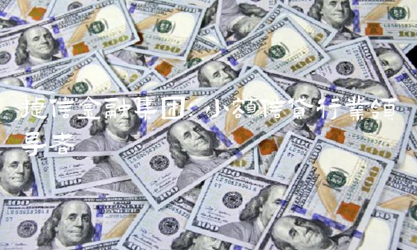 捷信金融集团：小额信贷行业领导者