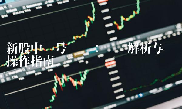 新股中签号查询：规则解析与实战操作指南