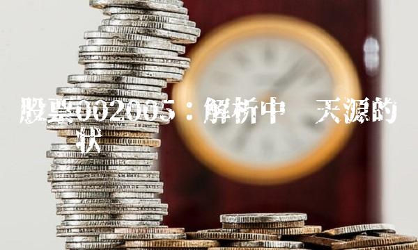 股票002005：解析中钢天源的经营现状