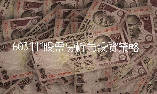 603111股票分析与投资策略