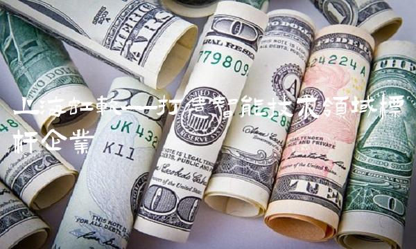 上海虹软——打造智能技术领域标杆企业
