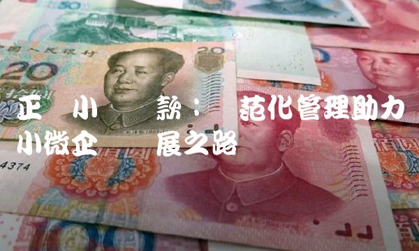 正规小额贷款：规范化管理助力小微企业发展之路