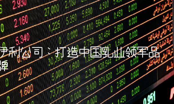 伊利公司：打造中国乳业领军品牌