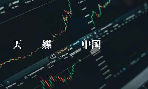 天娱传媒——领跑中国娱乐产业