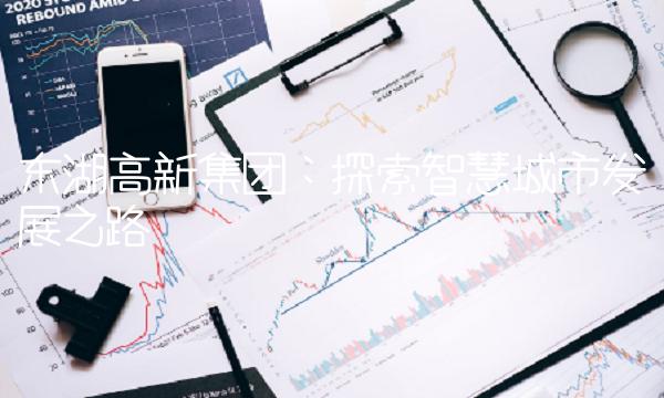 东湖高新集团：探索智慧城市发展之路