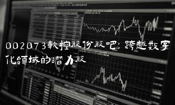002073软控股份股吧：跨越数字化领域的潜力股