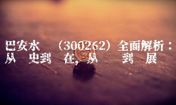 巴安水务（300262）全面解析：从历史到现在，从业务到发展