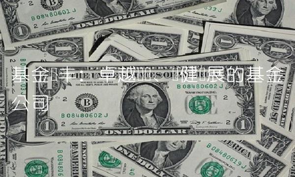 基金银丰：卓越业绩、稳健发展的基金公司
