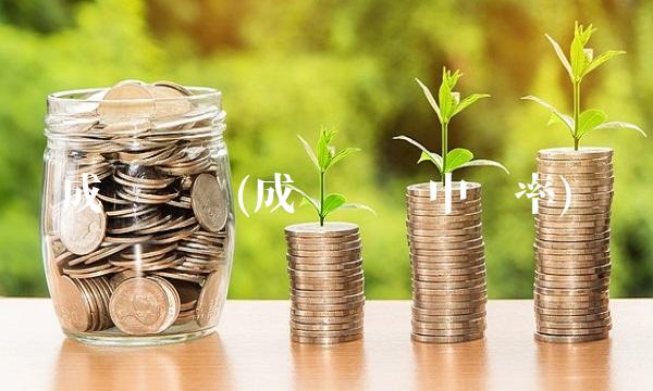 成银发债(成银转债中签率)