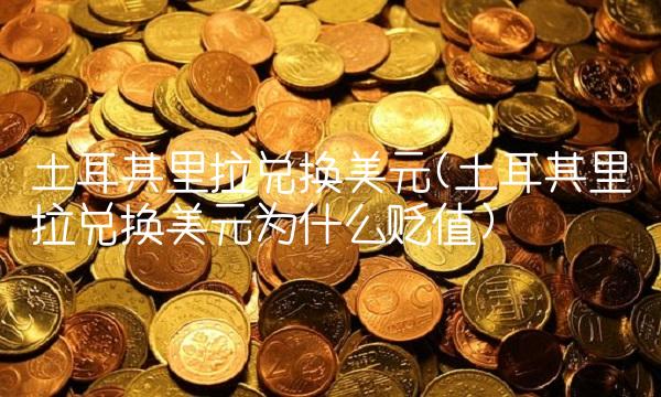 土耳其里拉兑换美元(土耳其里拉兑换美元为什么贬值)