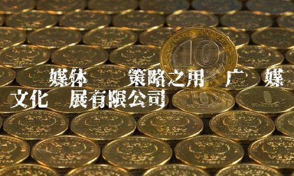 电视媒体营销策略之用电广传媒文化发展有限公司