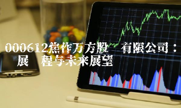 000612焦作万方股份有限公司：发展历程与未来展望