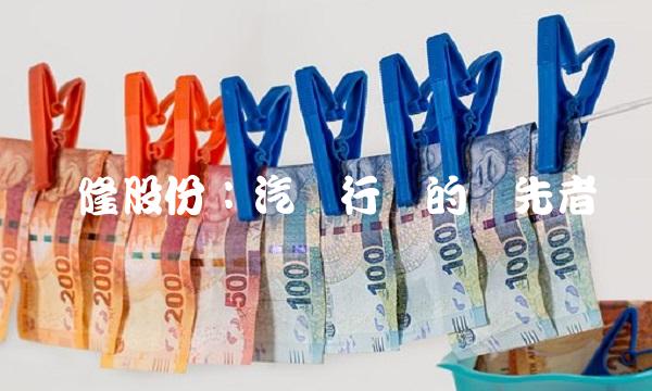 辉隆股份：汽车行业的领先者